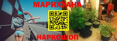 спайс Кандалакша