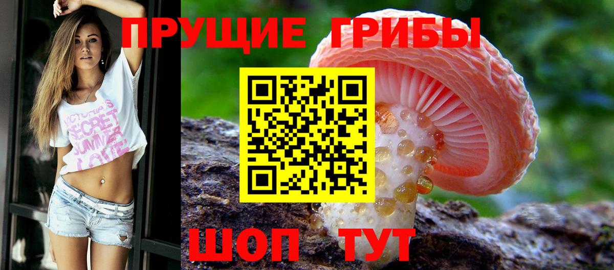 Галлюциногенные грибы Magic Shrooms  Галлюциногенные грибы Psilocybe  Магадан  купить закладку  Вход с VPN 